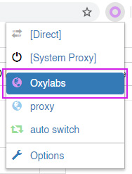 Choose newly configured proxy